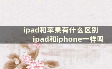 ipad和苹果有什么区别 ipad和iphone一样吗